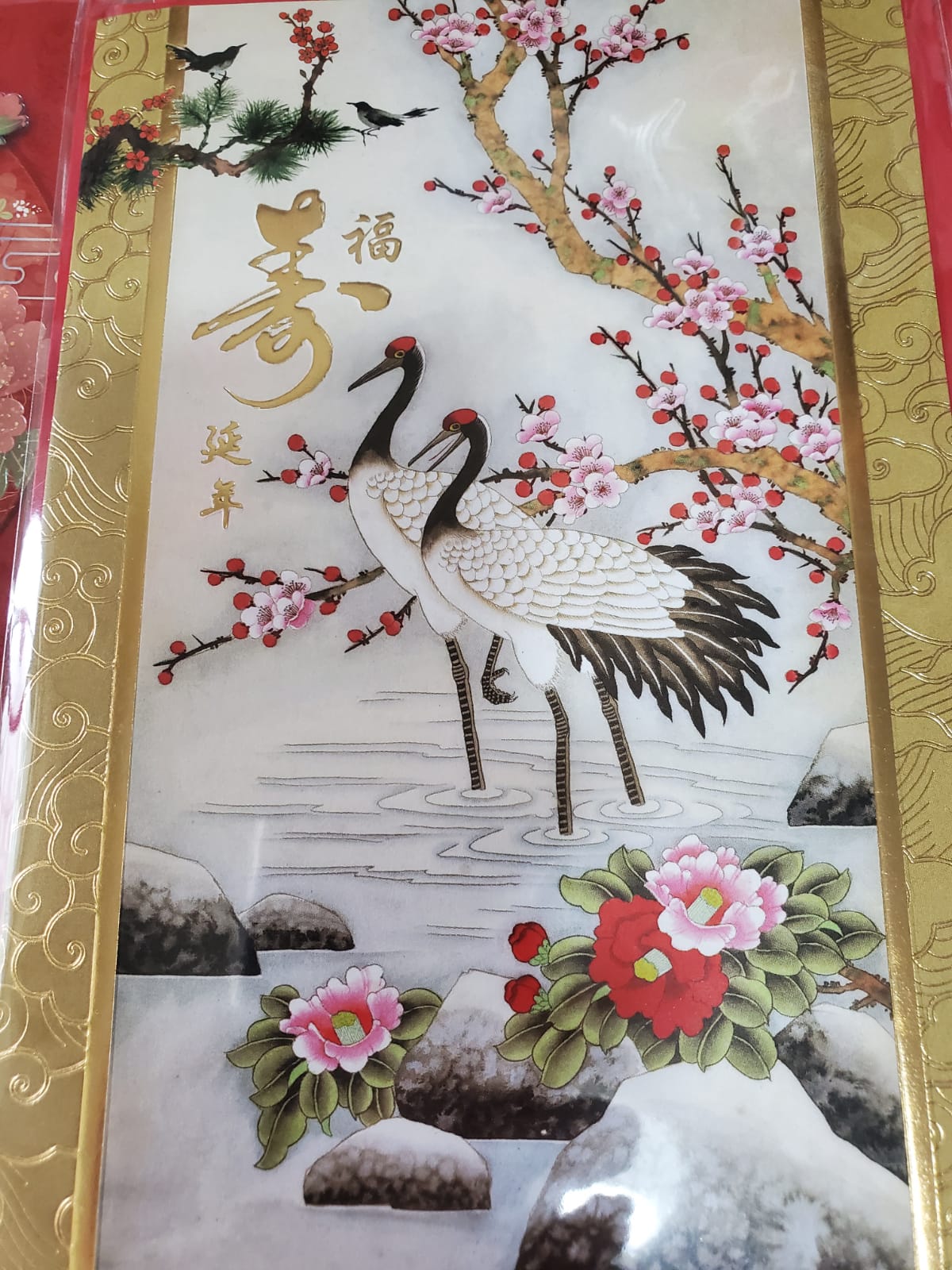 IMG-20210326-WA0001-67a9deff-be714e57